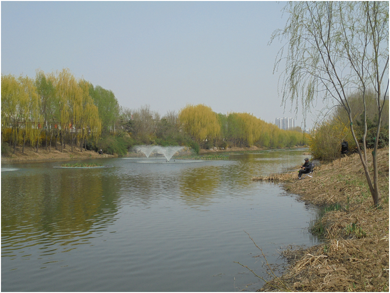 1547453124108087.png 1.png