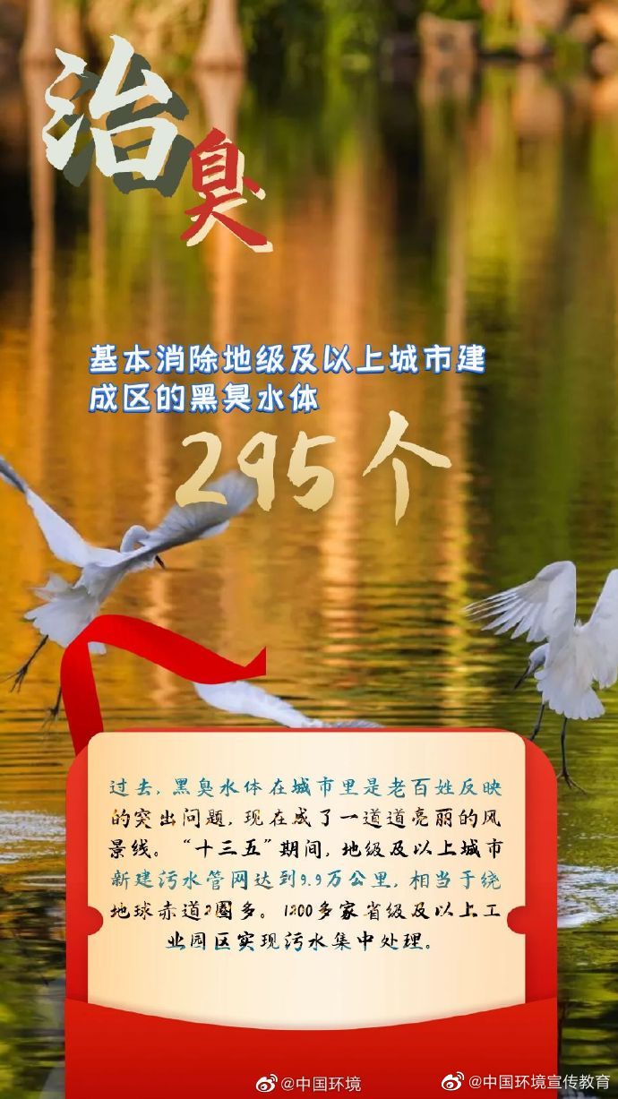 1666055583294331.jpg 6.jpg